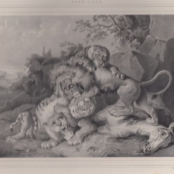 Leoni e tigri, Radin Saleh, 1845