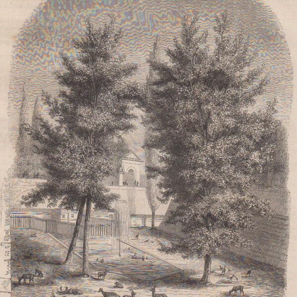 La fossa dei cervi. Berna. Svizzera.1840-70