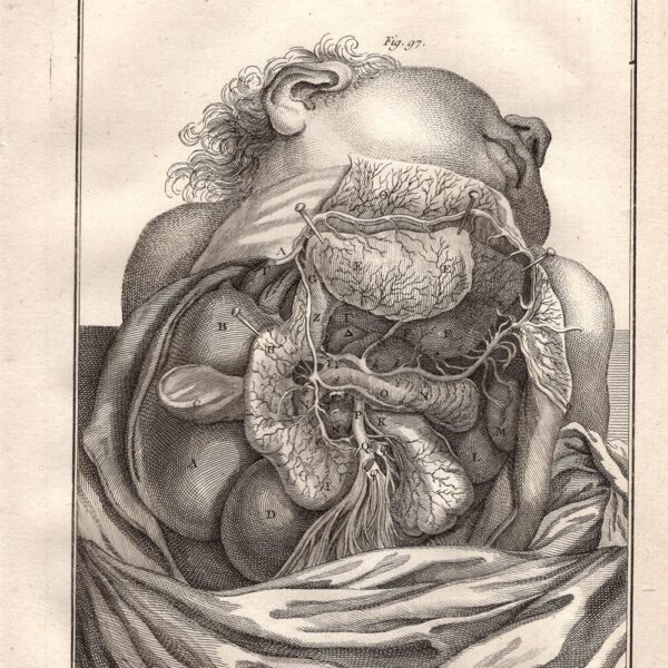 Diderot e D'Alembert,1778, anatomia cardiologia sistema circolatorio cuore