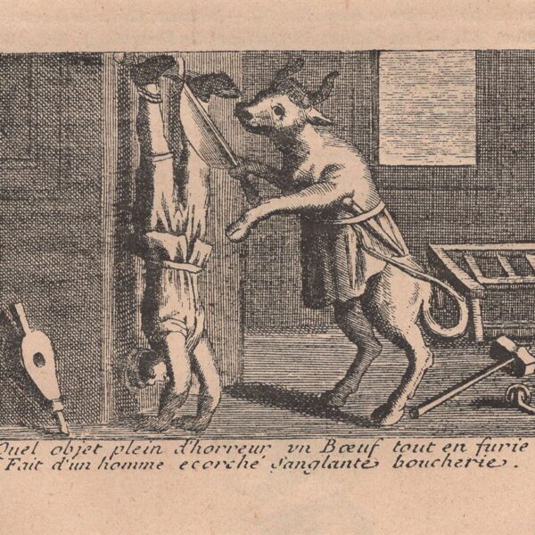 Il macellaio, xilografia dell'800