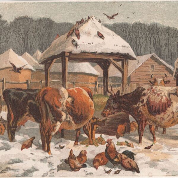 Fattoria con animali, 1850