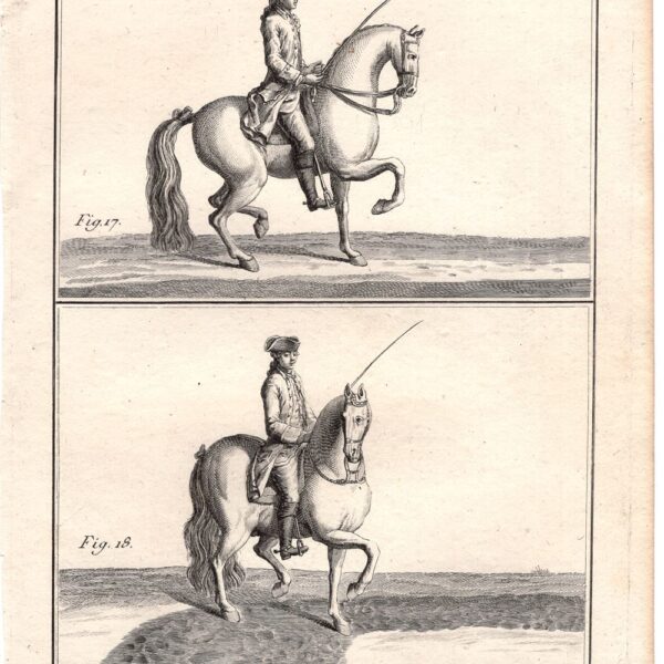 Diderot e D'Alembert, 1778, Equitazione, cavallo, le piafer