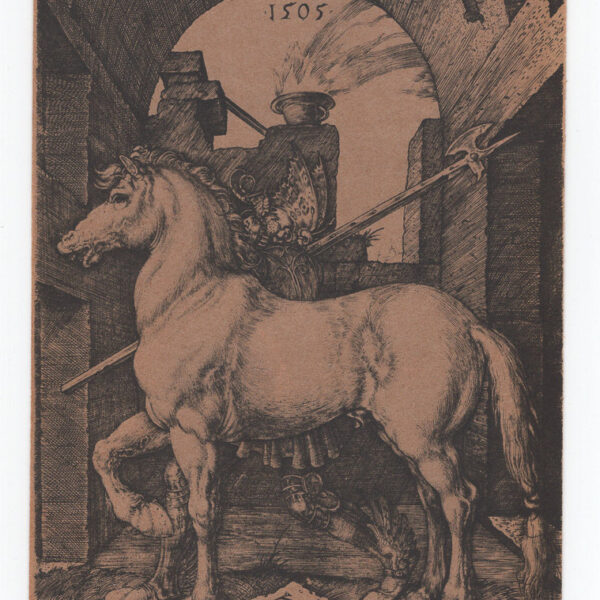 Albrecht Durer, Il Piccolo Cavallo
