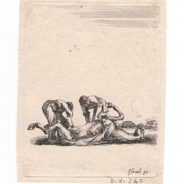 Stefano Della Bella, Cavallo scuoiato, 1645