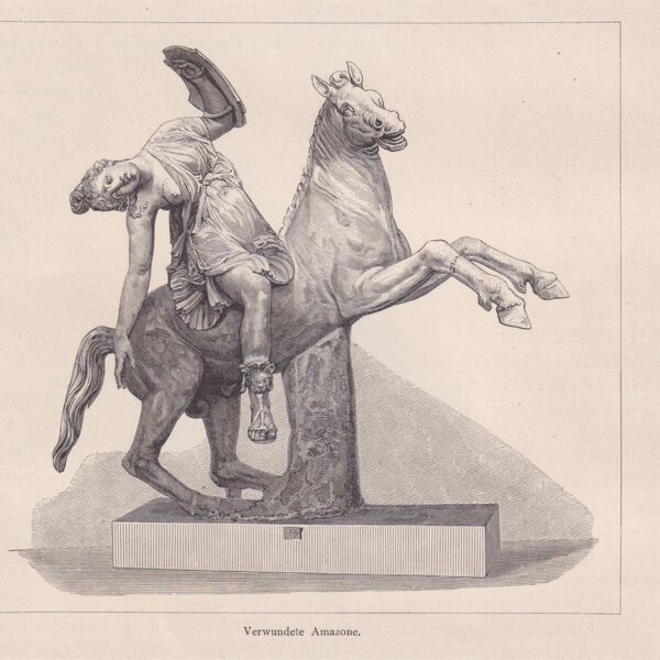 Amazone, Scultura, 1884