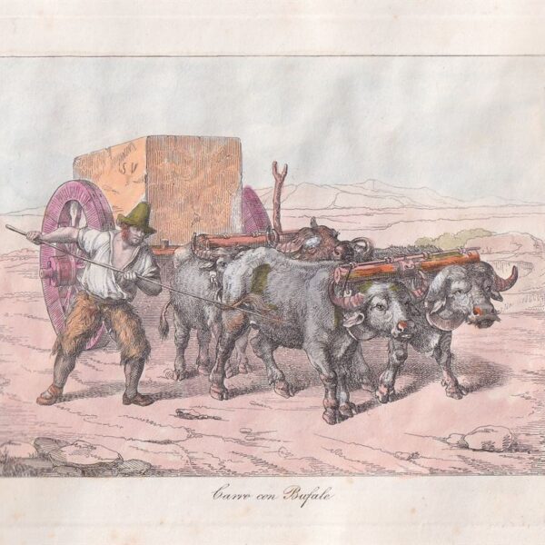 Bartolomeo Pinelli, Carro con Bufale, 1820
