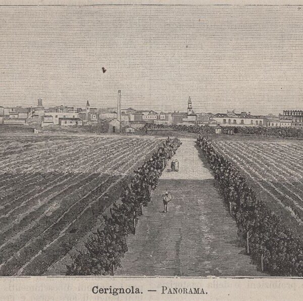 Cerignola, Panorama, 1890