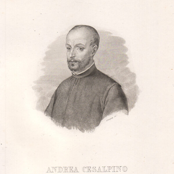 Cesalpino Andrea, 1857