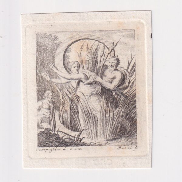 Lettera S, Antonio Pazzi e Domenico Campiglia, XVIII sec.