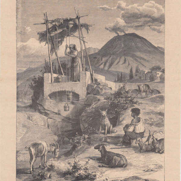 Vesuvio, 1875