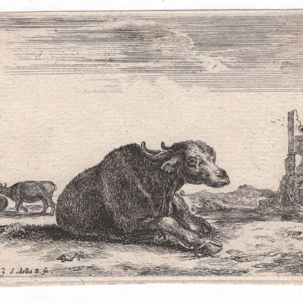 Stefano Della Bella, Diversi Animali, 1641