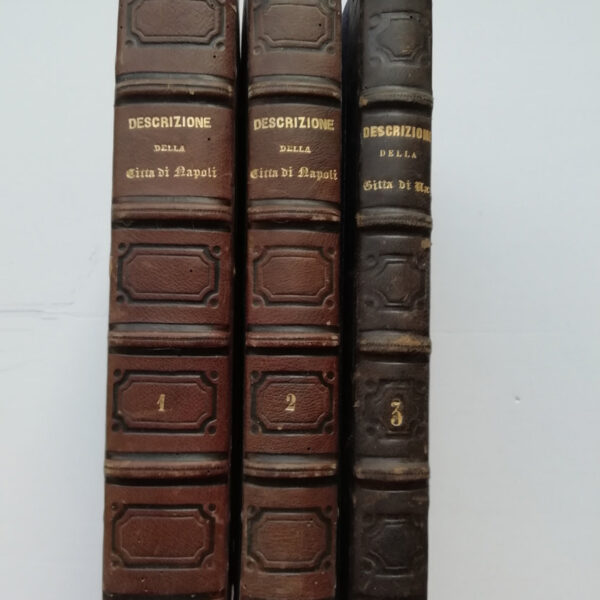 Nobile Gaetano, Descrizione della città di Napoli, 1855-57