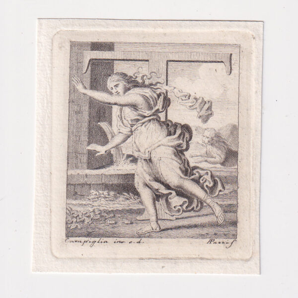 Lettera T, Antonio Pazzi e Domenico Campiglia, XVIII sec.