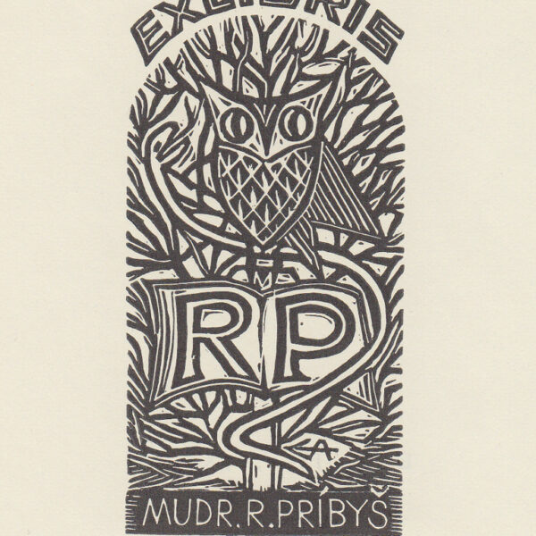 Aulitzky Erich (Germania)