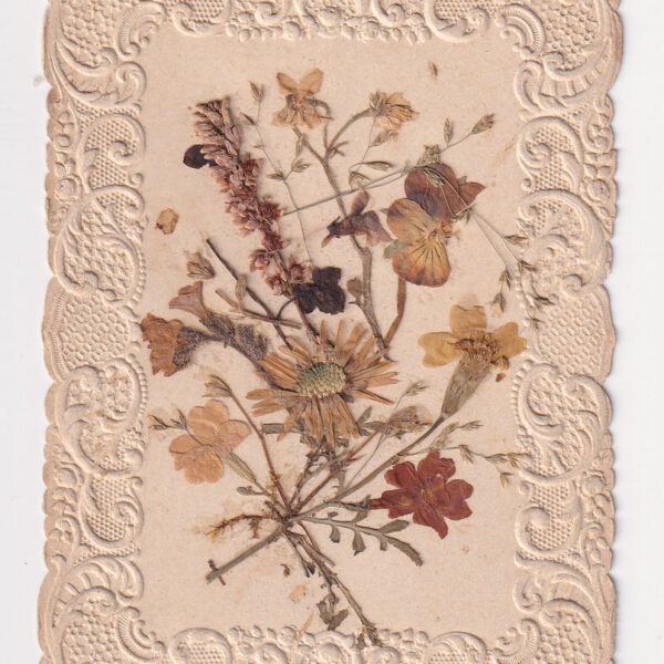 Santino antico, Fiori secchi, XIX sec.