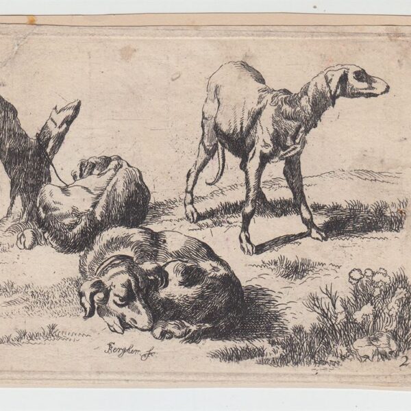 Nicolaes Berchem Animalia, Capre