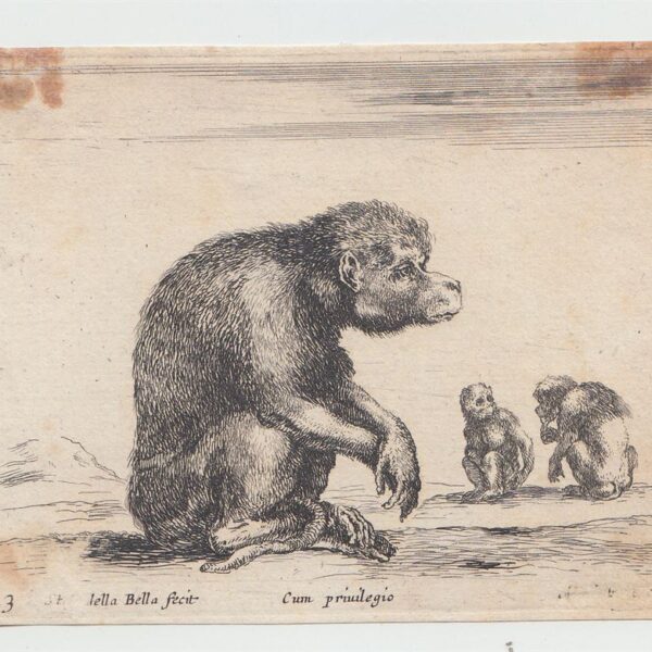 Stefano Della Bella, Diversi Animali, 1641