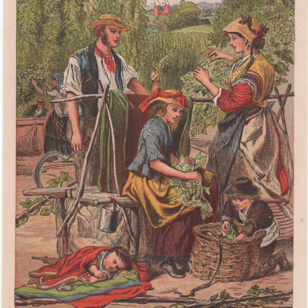 La raccolta dell'uva, Leitghton Brothers