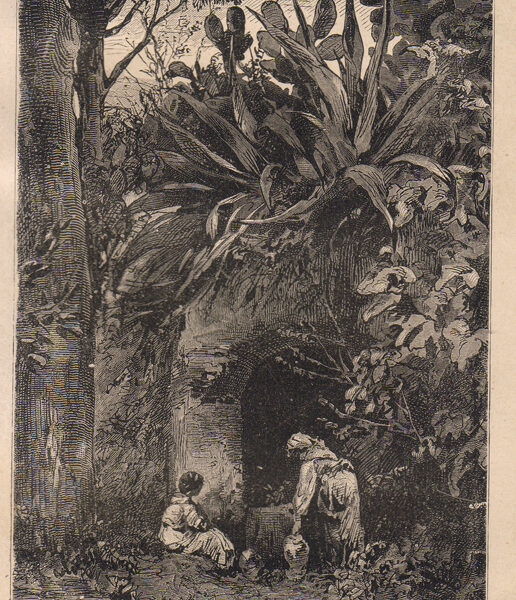 Capri, Una Fontana, 1889