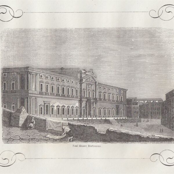 Napoli, Real Museo Borbonico, 1855