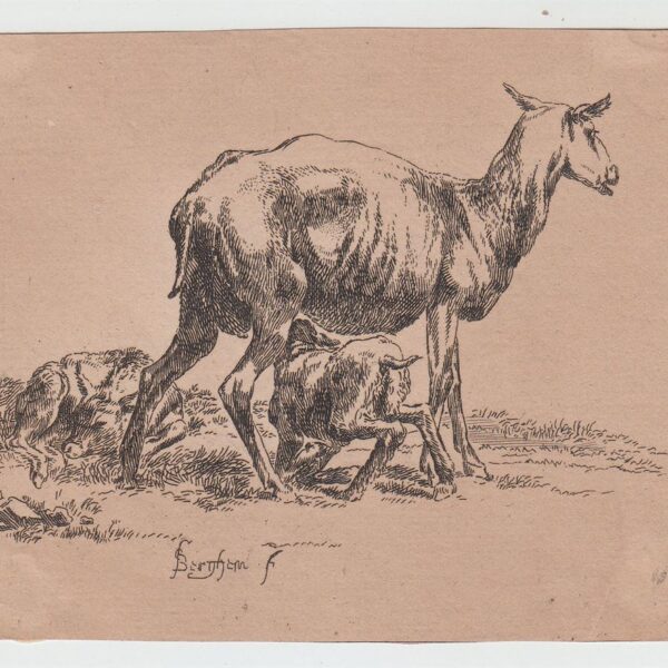 Nicolaes  Berchem Animalia, Capre