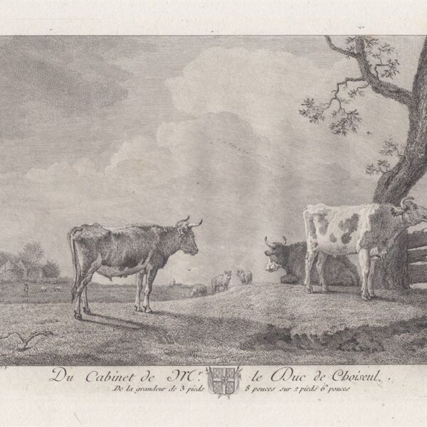 Paulus Potter (1625-1654), Basan, 1771