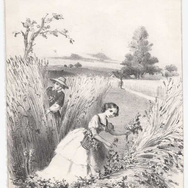 Amore tra i campi di grano, 1850