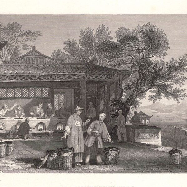 Die Theebereitung, Cina, 1850