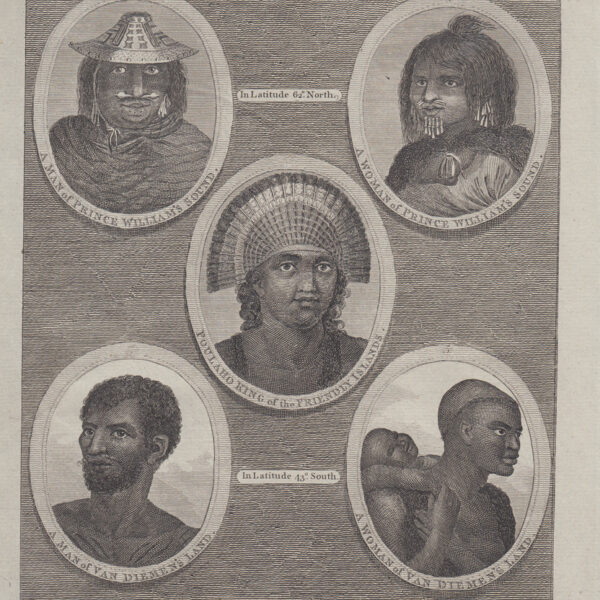 Payne's, 1850, Cinque volti