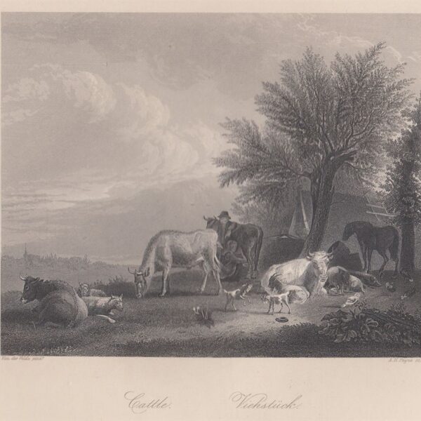 Bestiame, Van der Velde, 1840-50