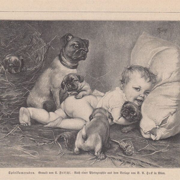 Bambino e cani, 1880
