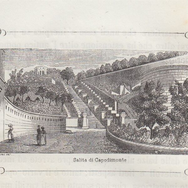 Napoli, Salita di Capodimonte, 1855