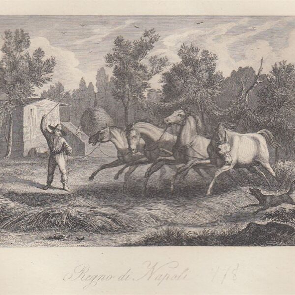Regno di Napoli, Domatore di Cavalli, 1840