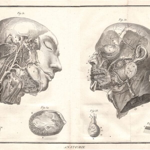 Diderot e D'Alembert,1778, anatomia sistema circolatorio occhio oculistica