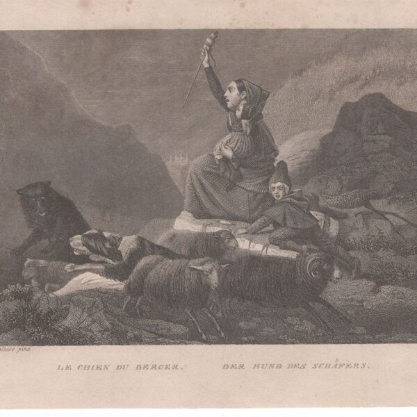 Il cane del Pastore, 1850