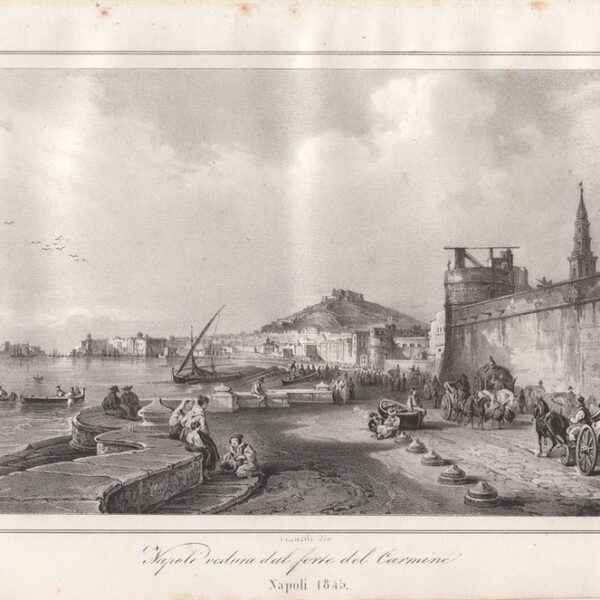Napoli, Veduta dal Carmine, 1845