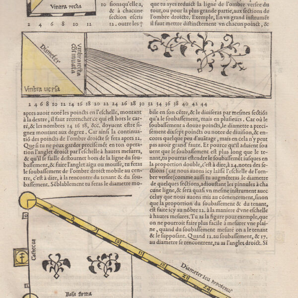 1575 Cosmografia Universale, Proporzioni