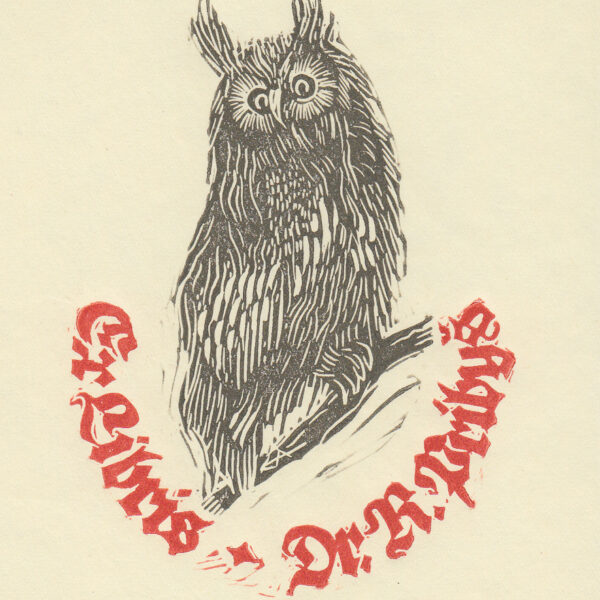 Aulitzky Erich (Germania)