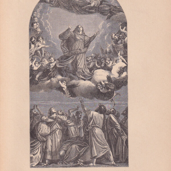 L'Assunzione della Vergine, Da Tiziano, 1893