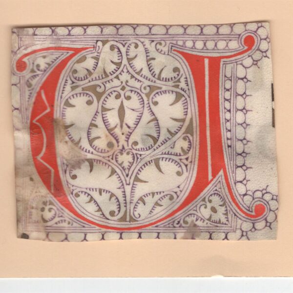 Capolettera del XV-XVI secolo lettera U