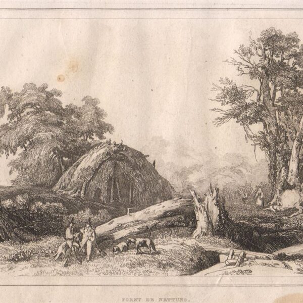 Nettuno, Foresta, 1835