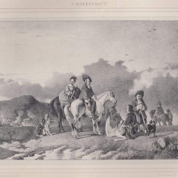 Cigno ferito, J. Moerenhout, 1845