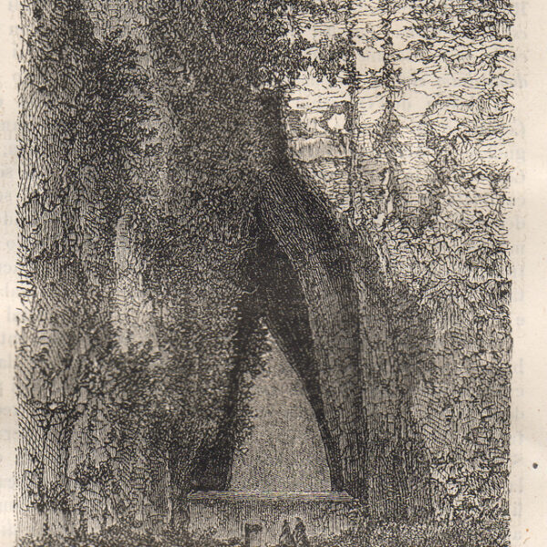 Orecchio di Dionisio, Siracusa, 1865