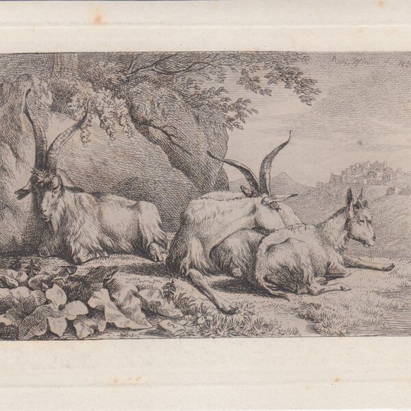 Winter Raphael (1784-1852), Capre, 1830