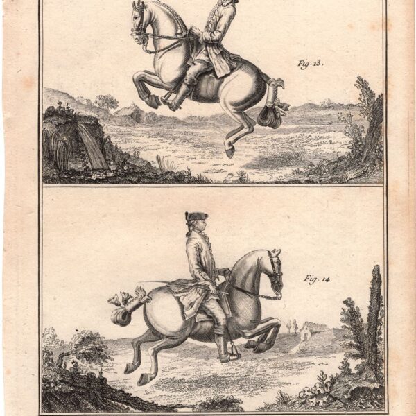 Diderot e D'Alembert, 1778, Equitazione, cavallo, la groupade