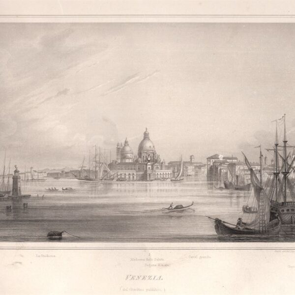 Venezia, Canal grande,  Chiesa della Salute, 1860