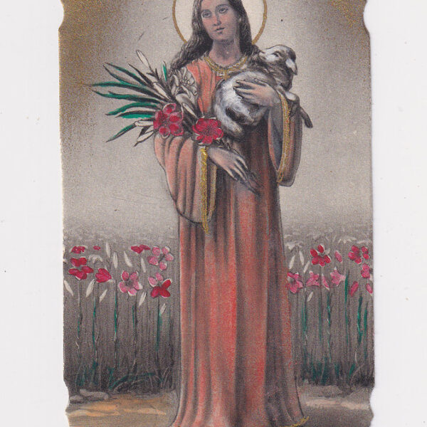 S. Agnese, Santino del XX sec.