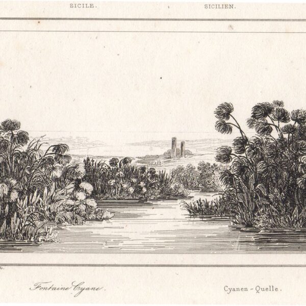 Siracusa, Fonte Ciane, 1835