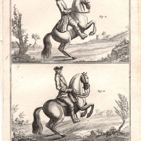 Diderot e D'Alembert, 1778, Equitazione, cavallo, la pesade, la courbette