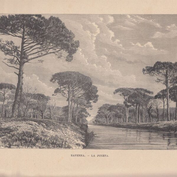 Ravenna, La Pineta, 1885